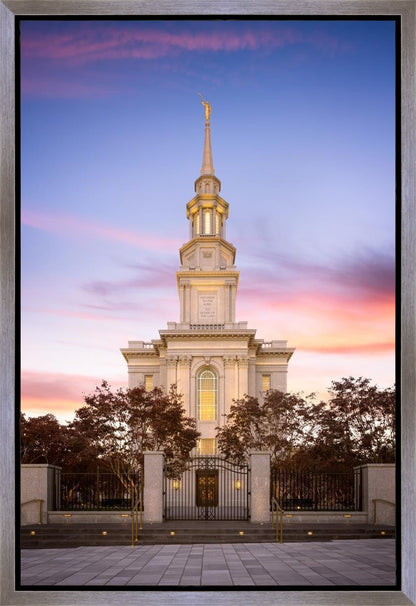 Philadelphia Liberty Skies