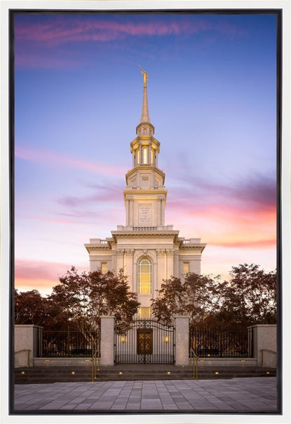 Philadelphia Liberty Skies