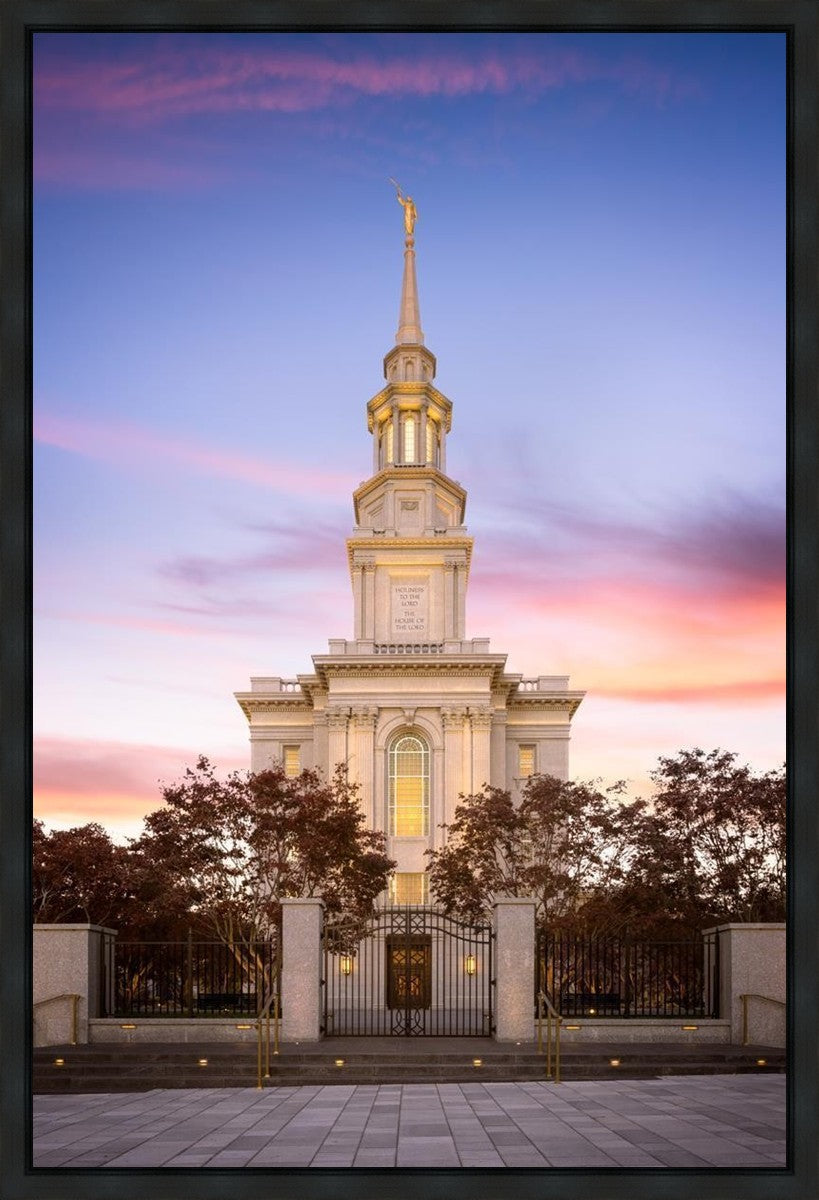Philadelphia Liberty Skies