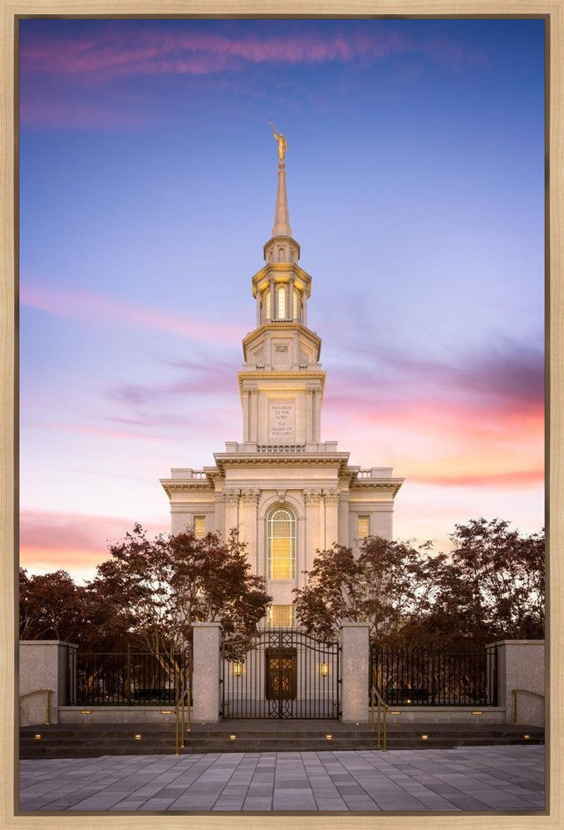 Philadelphia Liberty Skies