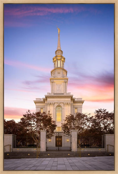 Philadelphia Liberty Skies