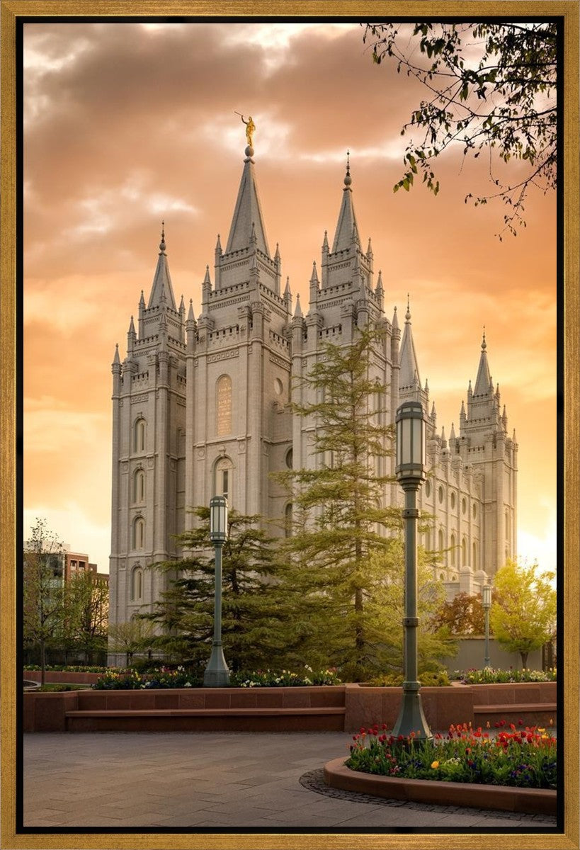 Salt Lake - The Promise