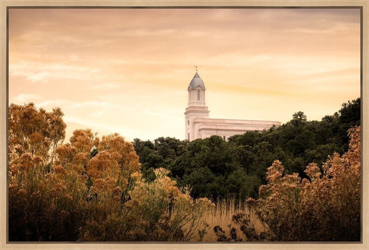 Cedar City Golden