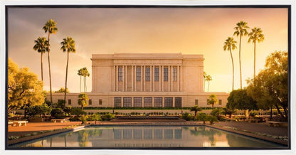 Mesa Gold Plated