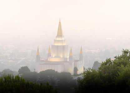 Foggy Oakland