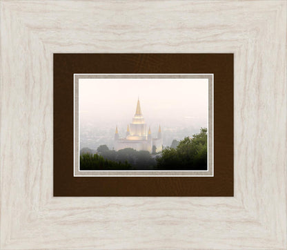 Foggy Oakland