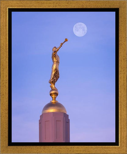Tucson Trumpet Moon