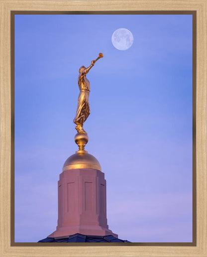 Tucson Trumpet Moon