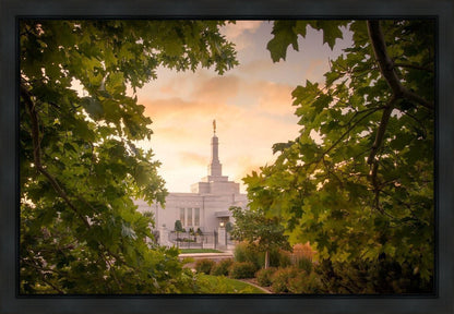 Reno Gardens