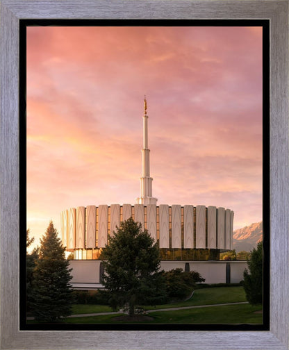 Provo I Stand all Amazed