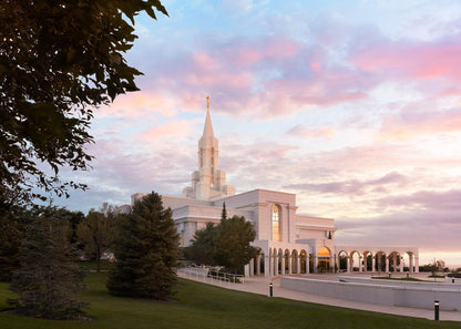 Bountiful Pastel Light