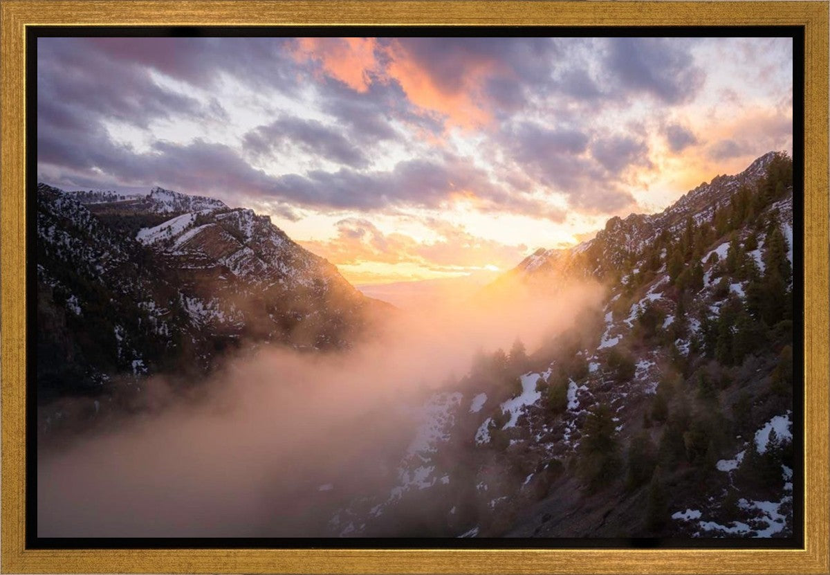 Winter Canyon