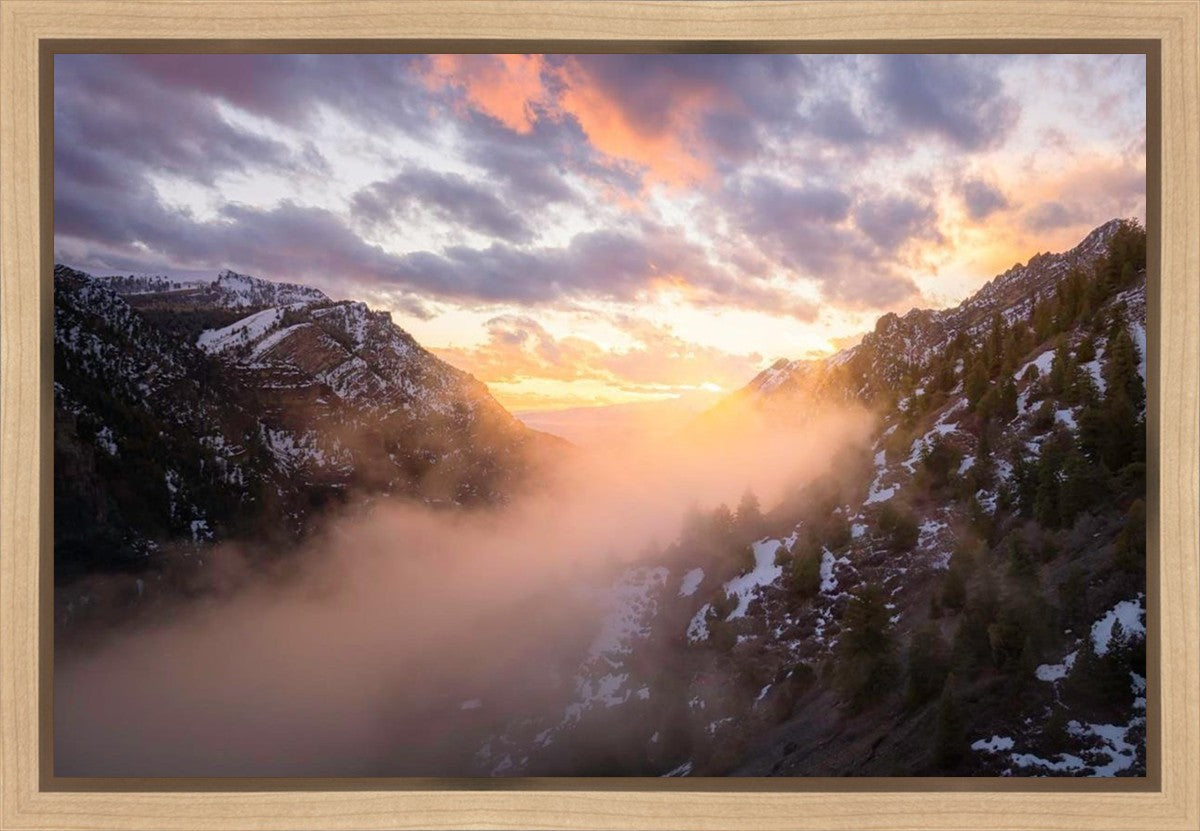 Winter Canyon