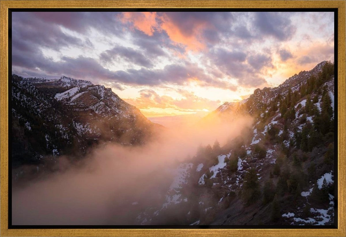 Winter Canyon