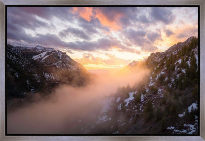 Winter Canyon