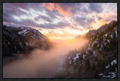 Winter Canyon