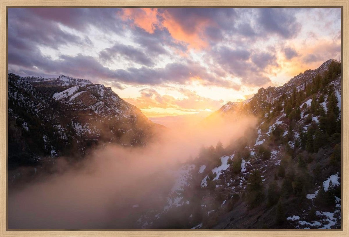 Winter Canyon