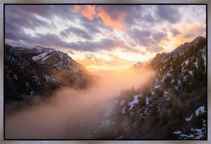 Winter Canyon