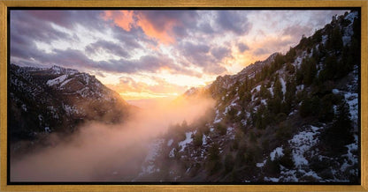 Winter Canyon
