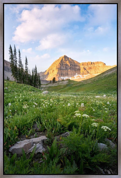 Timpanogos Meadow