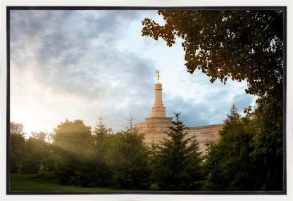 Columbus Sunburst