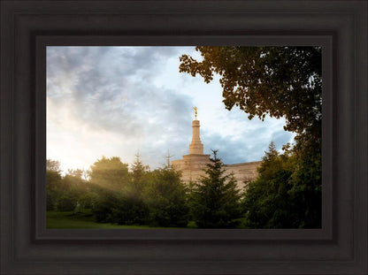 Columbus Sunburst