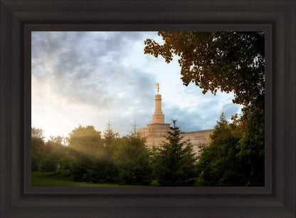 Columbus Sunburst