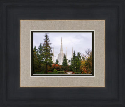 Portland Temple Forest Through The Trees