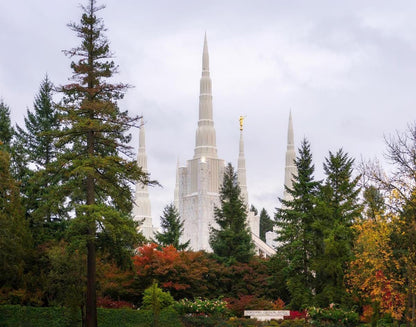 Portland Temple Forest Through The Trees