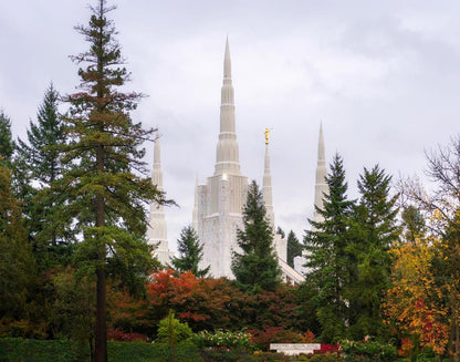 Portland Temple Forest Through The Trees