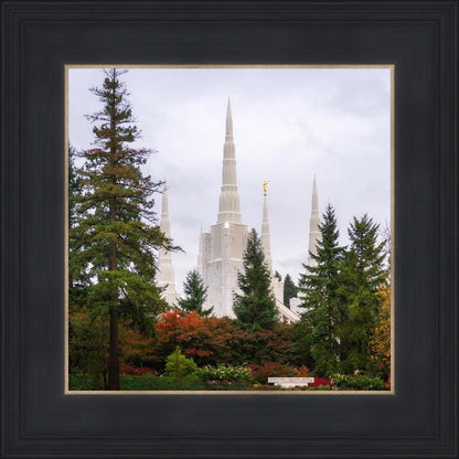 Portland Temple Forest Through The Trees