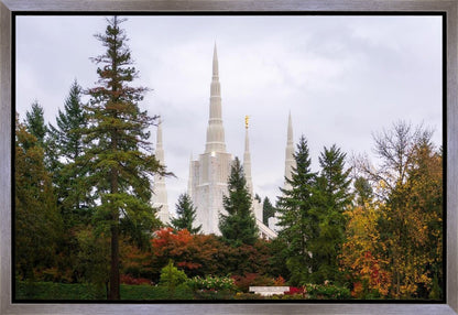 Portland Temple Forest Through The Trees