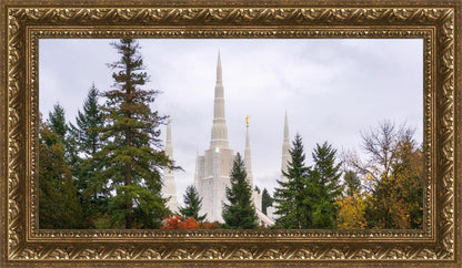 Portland Temple Forest Through The Trees