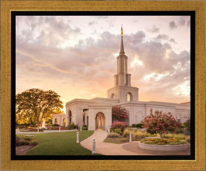 Sacramento Temple Sunset Panorama