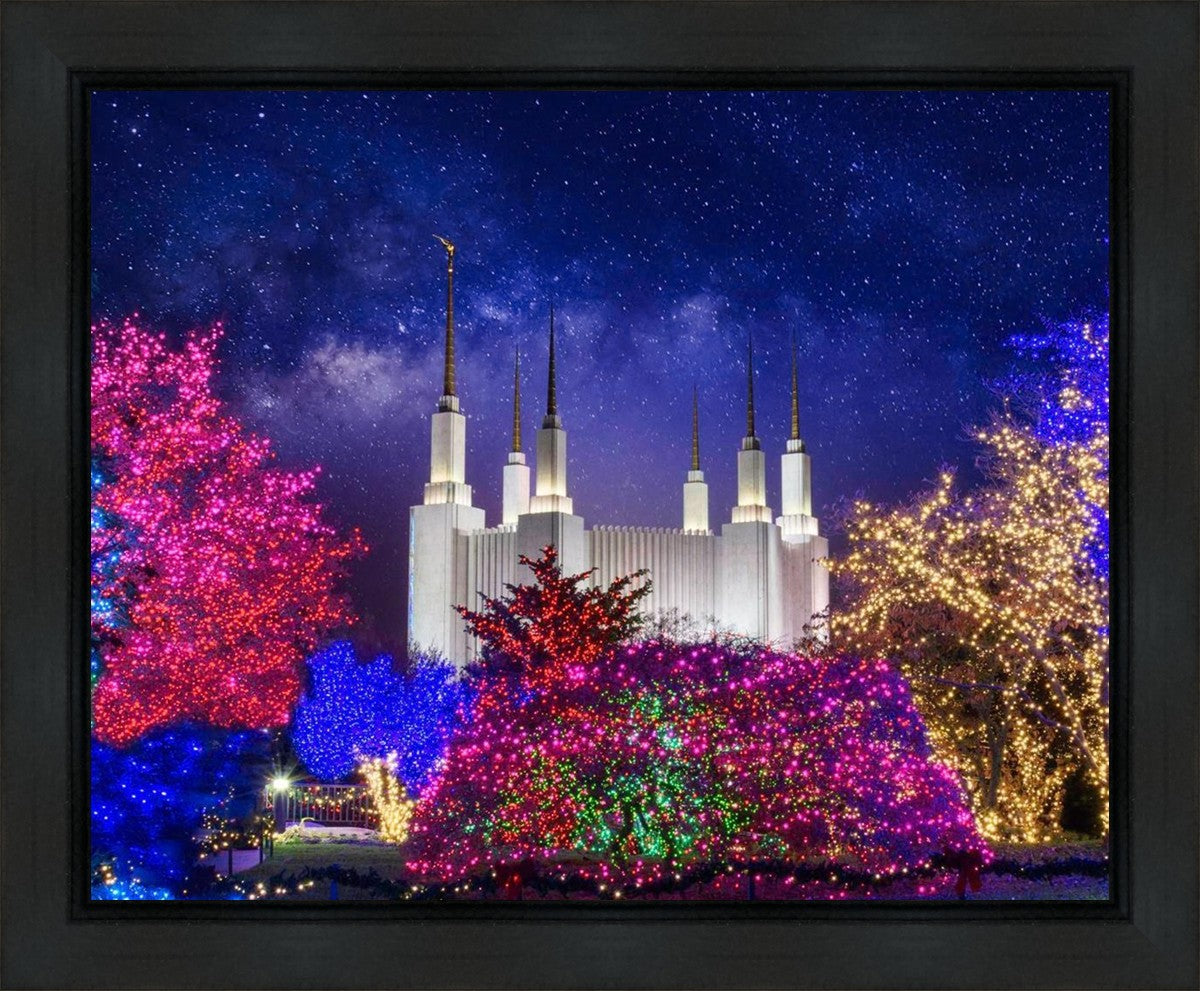 Washington DC Temple Christmas Lights