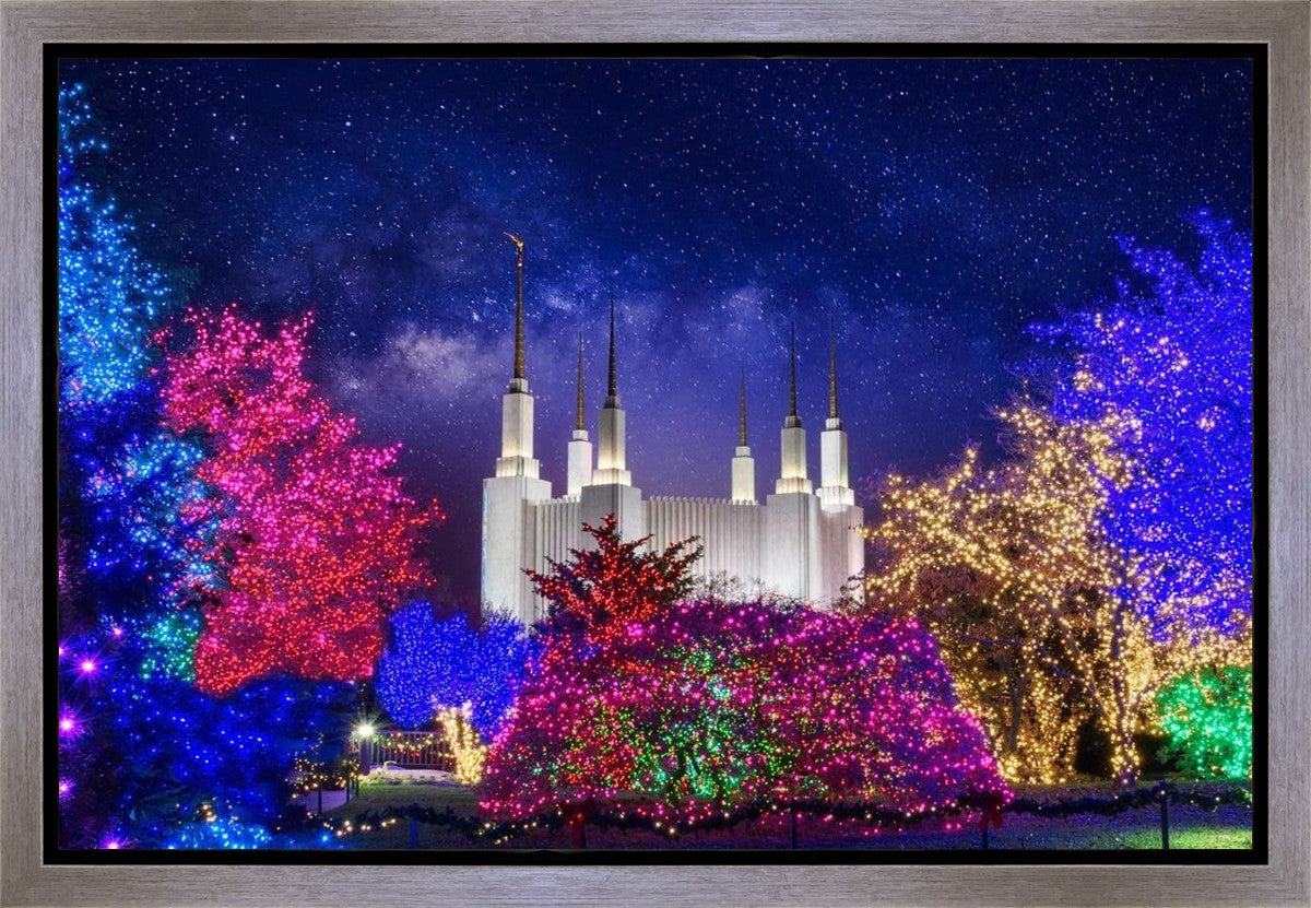Washington DC Temple Christmas Lights
