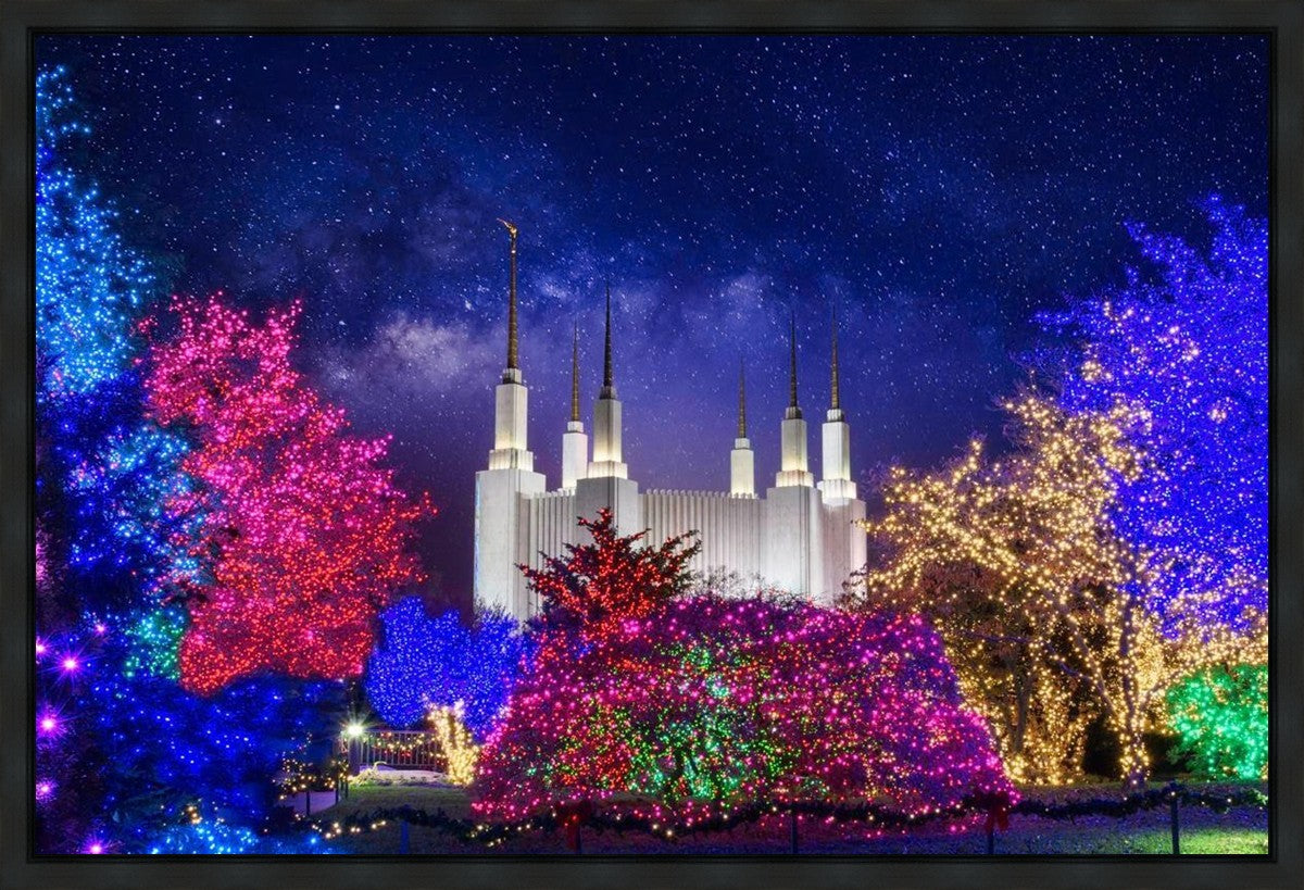 Washington DC Temple Christmas Lights