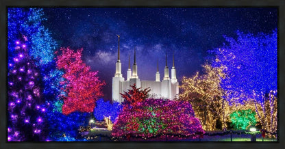 Washington DC Temple Christmas Lights