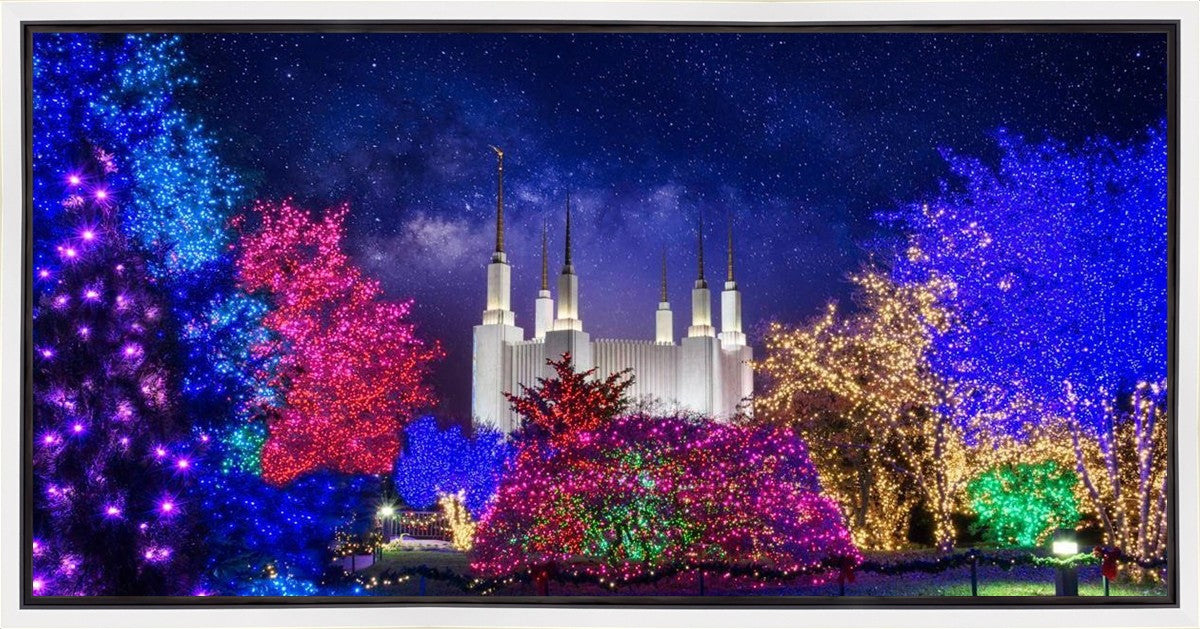 Washington DC Temple Christmas Lights
