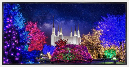 Washington DC Temple Christmas Lights