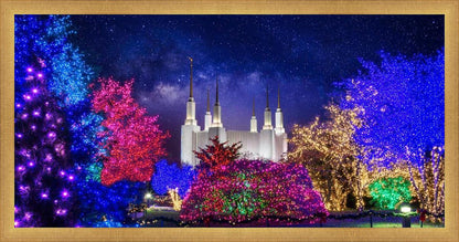 Washington DC Temple Christmas Lights