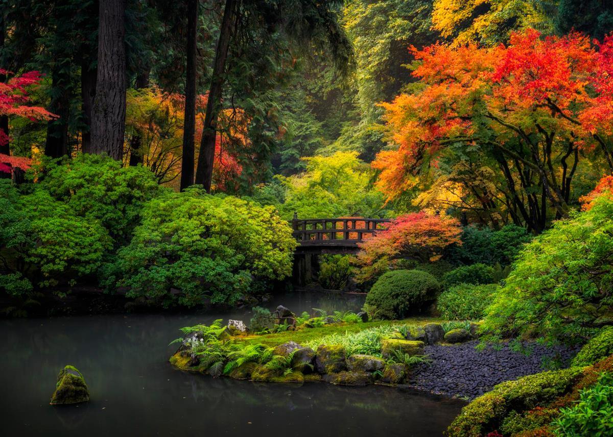 Garden Bridge