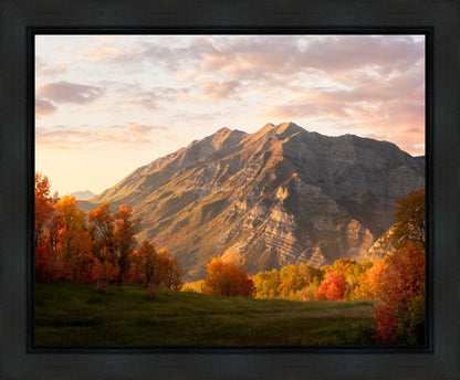 Timpanogos Autumn