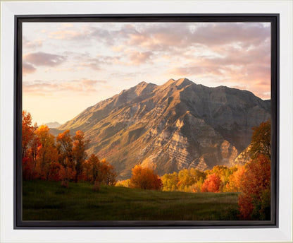 Timpanogos Autumn
