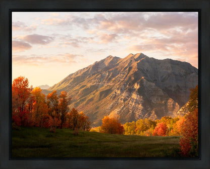 Timpanogos Autumn