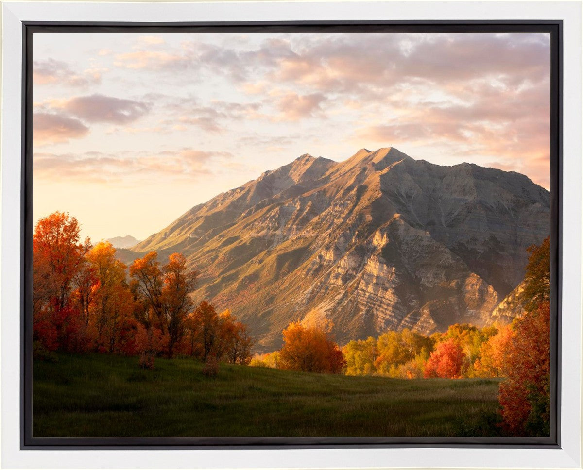 Timpanogos Autumn