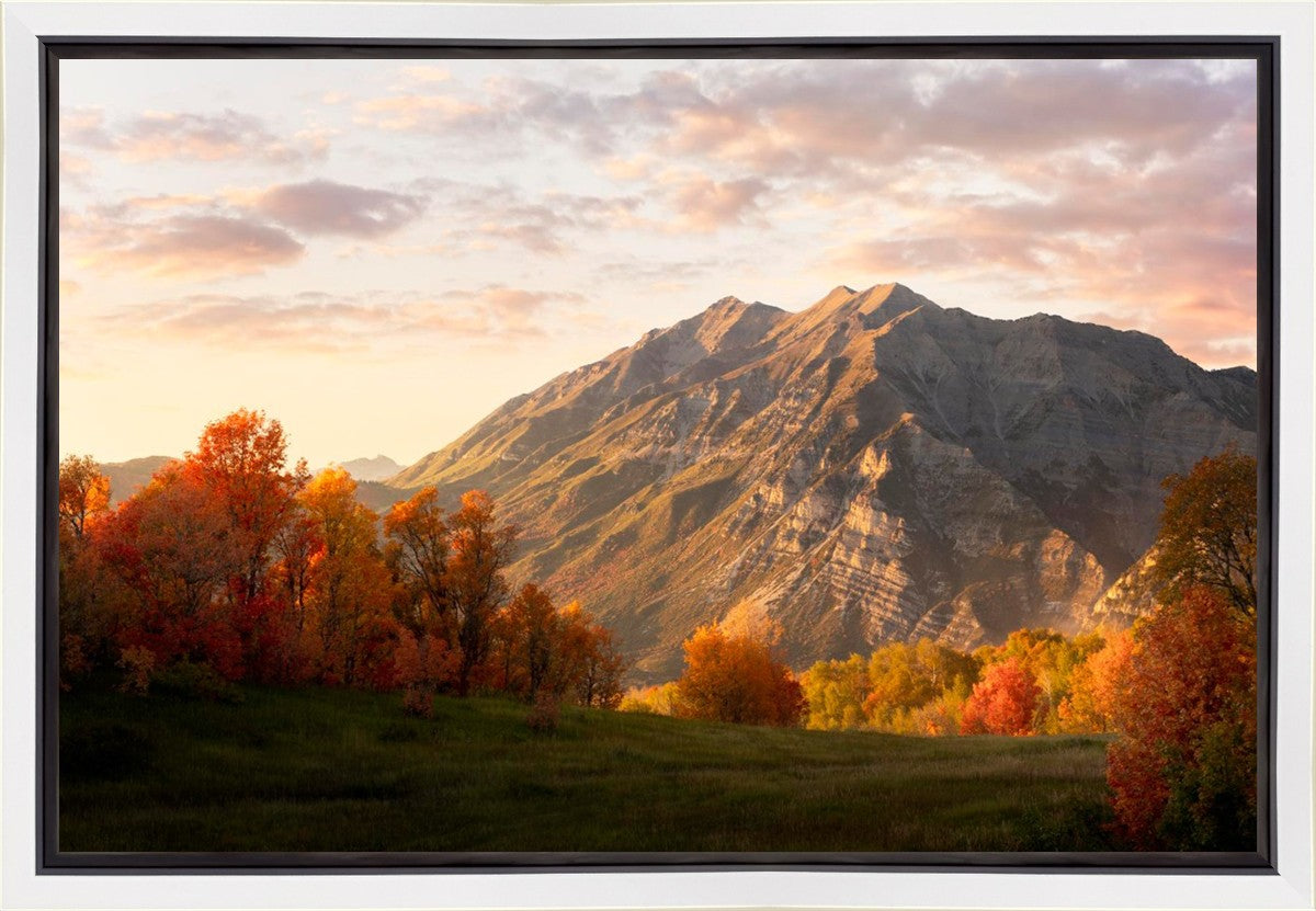 Timpanogos Autumn
