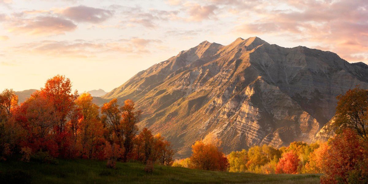 Timpanogos Autumn