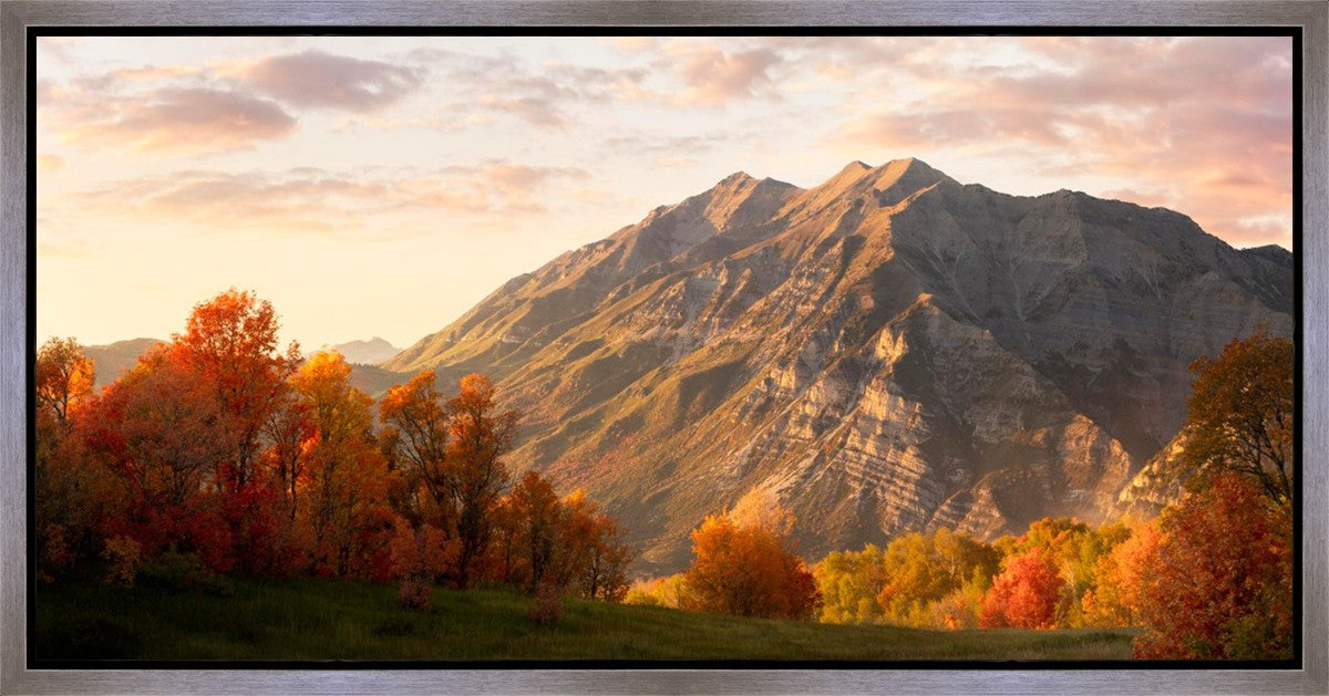 Timpanogos Autumn