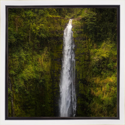 Akaka Falls, Hawaii